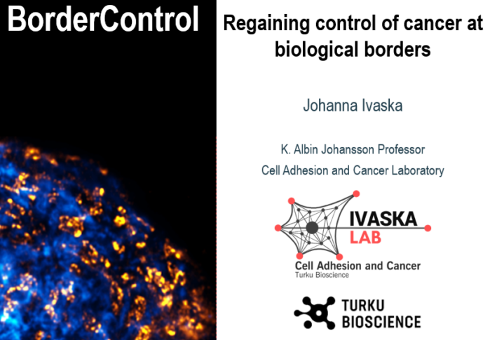 BarrierForce director awarded prestigious ERC grant to tackle cancer spread!